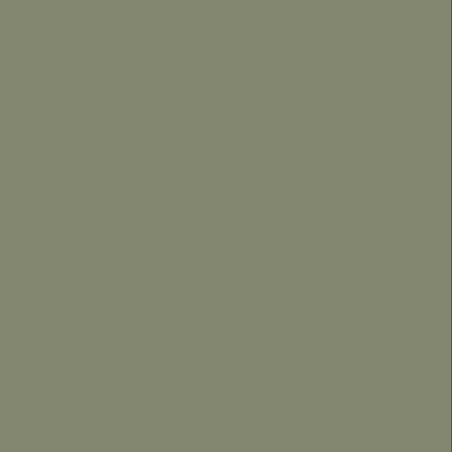 Color scheme
