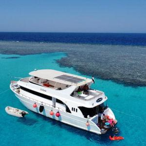 Private Boat Tour in Egypt ⛵🇪🇬
