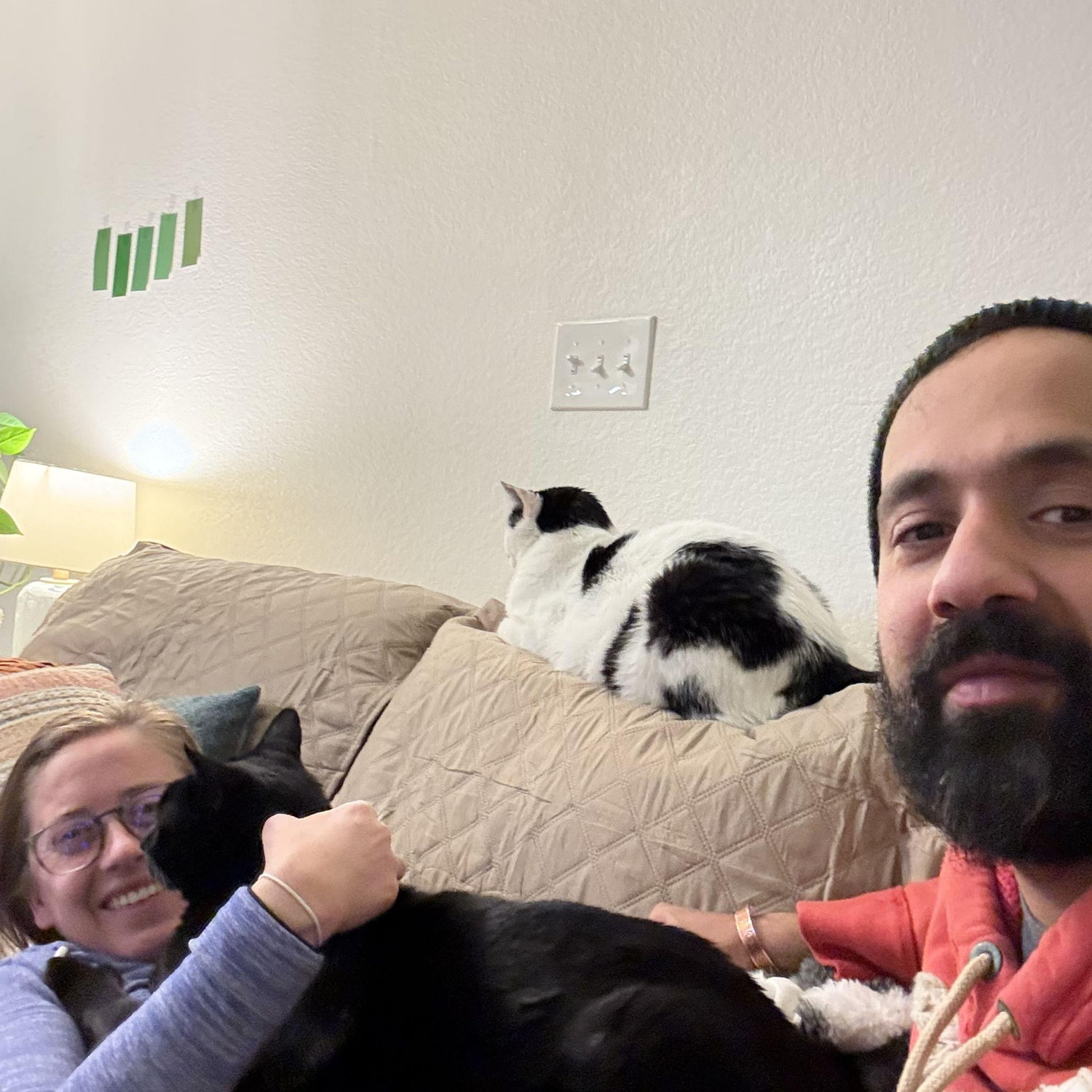 Cats <3