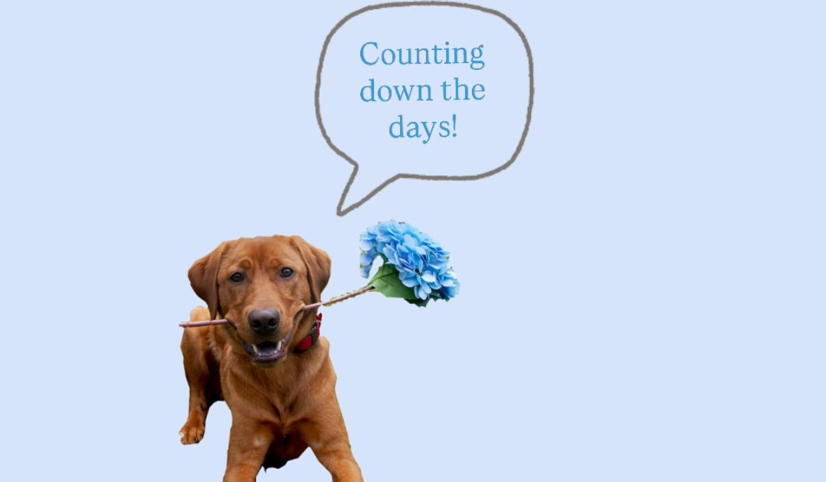 Footer image