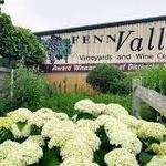 Fenn Valley Vineyards