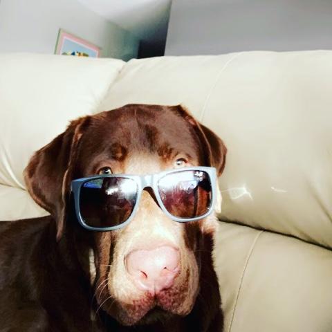 mr. carson james brown III is too cool for school.