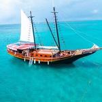 Jolly Pirate Sail and Snorkel Cruise