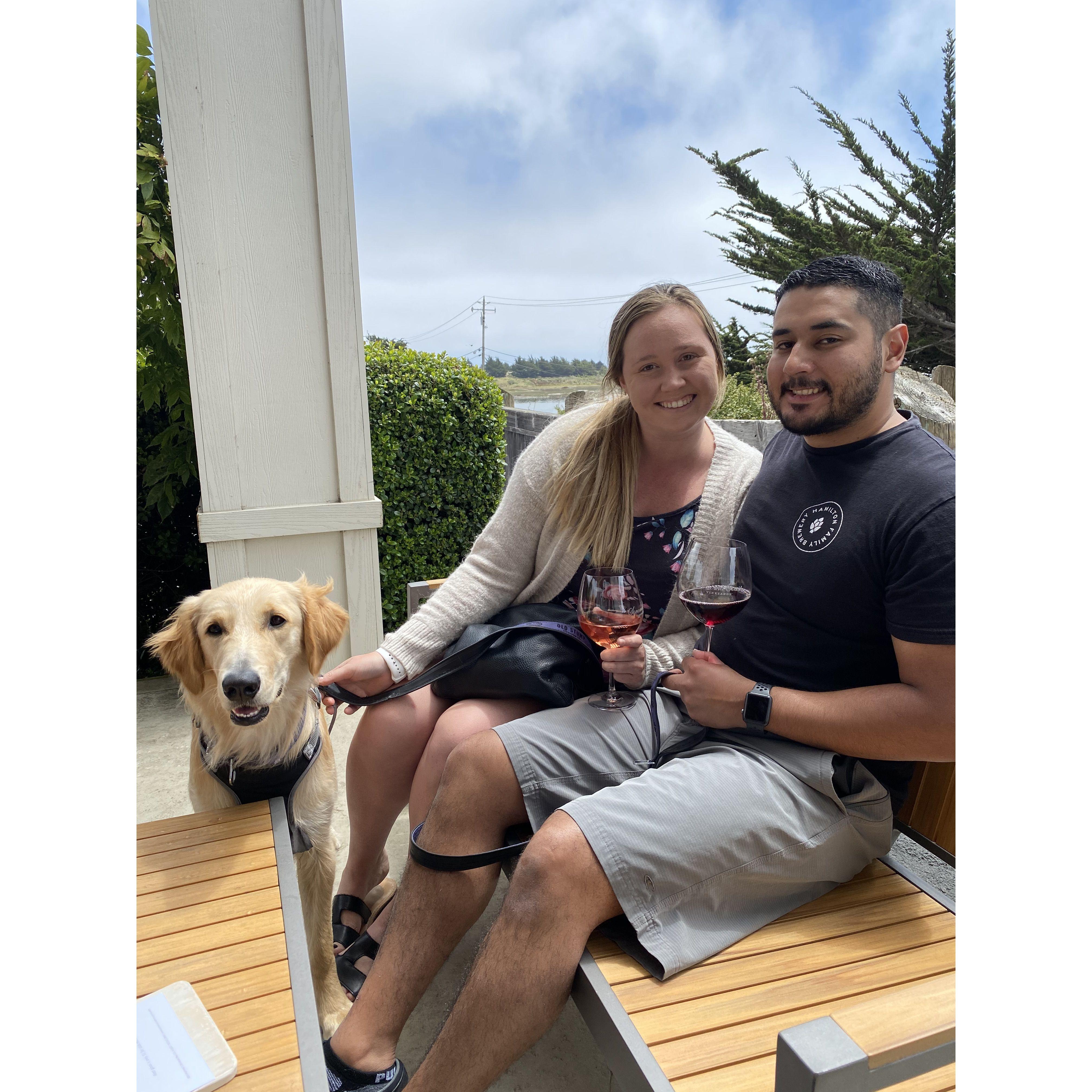 Our first child, Woody!