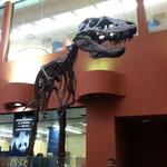 Buffalo Museum of Science
