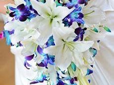 The Wedding Website of Ericka West and Joseph Fracyon