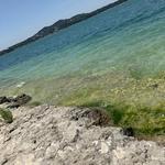 Canyon Lake