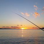 Golden Isles Charter Fishing