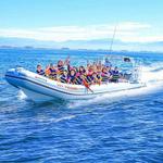 Puerto Vallarta Original Canopy Tour, Ziplining, Tequila and Speed Boat Ride