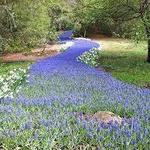 Heritage Museum & Gardens