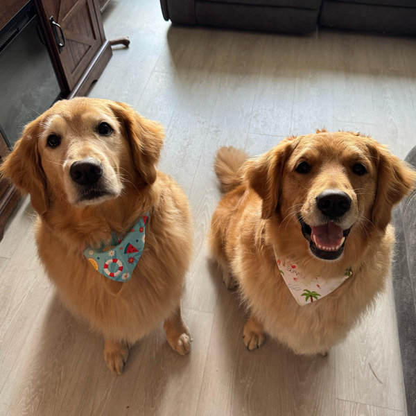Wally & Teddy’s Yard Fund
