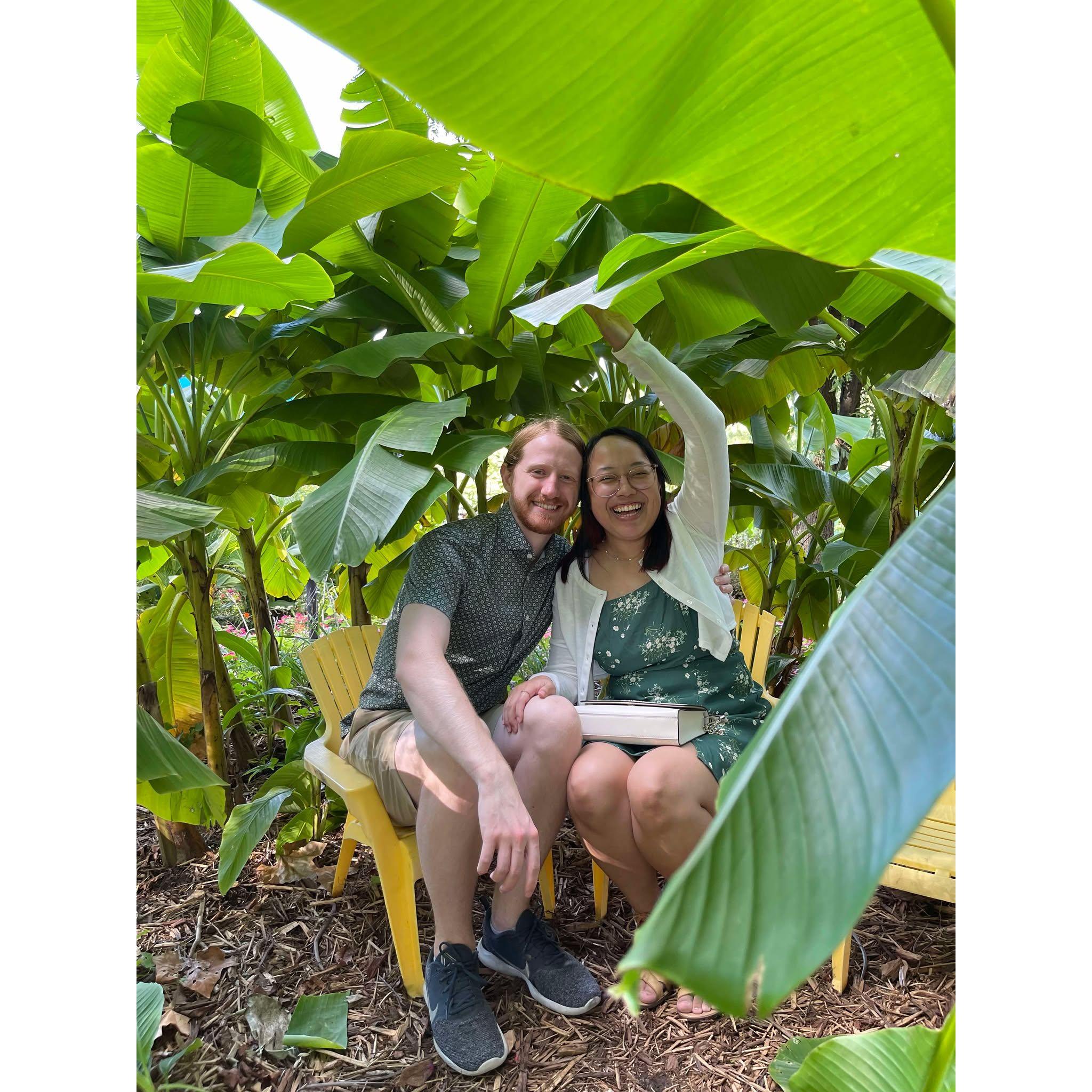 At the Botanical Garden of the Ozarks for the International Festival; 2024.