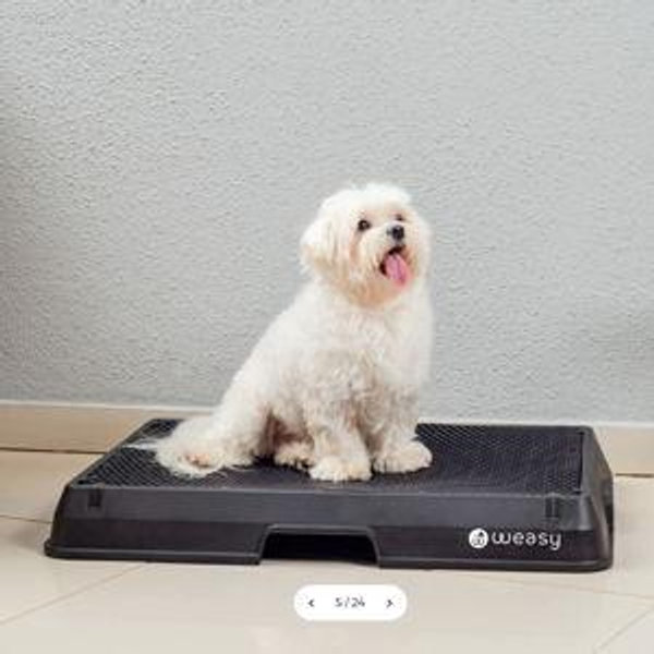 Weasy Smart Dog Potty - M / No / Black and Black