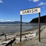 Taylor Shellfish Farms