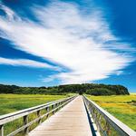 Cape Cod Rail Trail