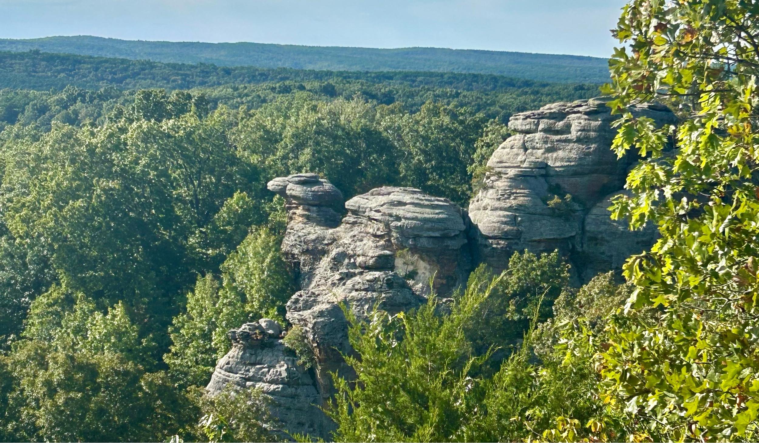 The Wedding Website of Annette Phillips and Curtis White