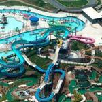 Jungle Jim's