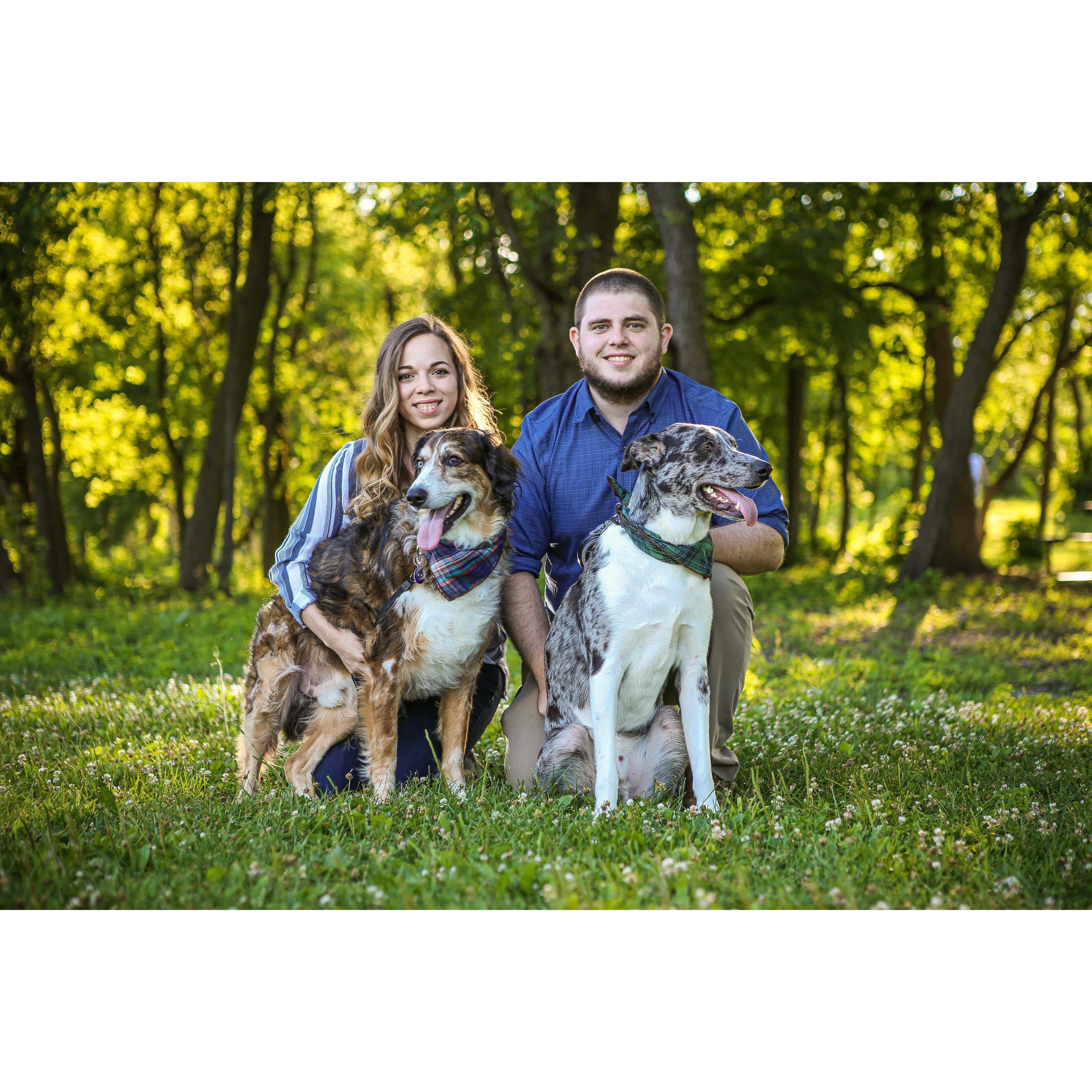 Engagement Pictures