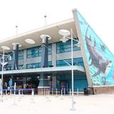 Newport Aquarium
