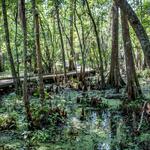 Jean Lafitte National Historical Park and Preserve