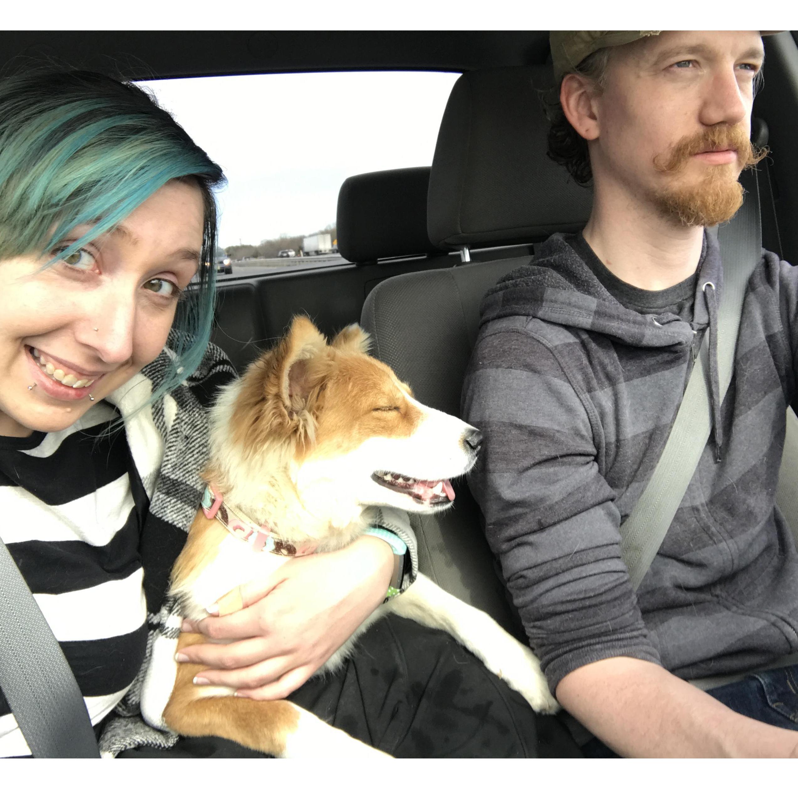 The day we brought Foxy home | 4/8/2017