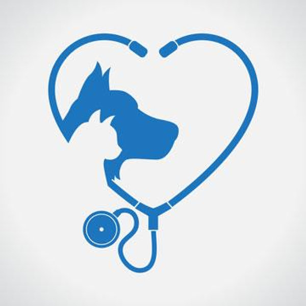 Vet Bills