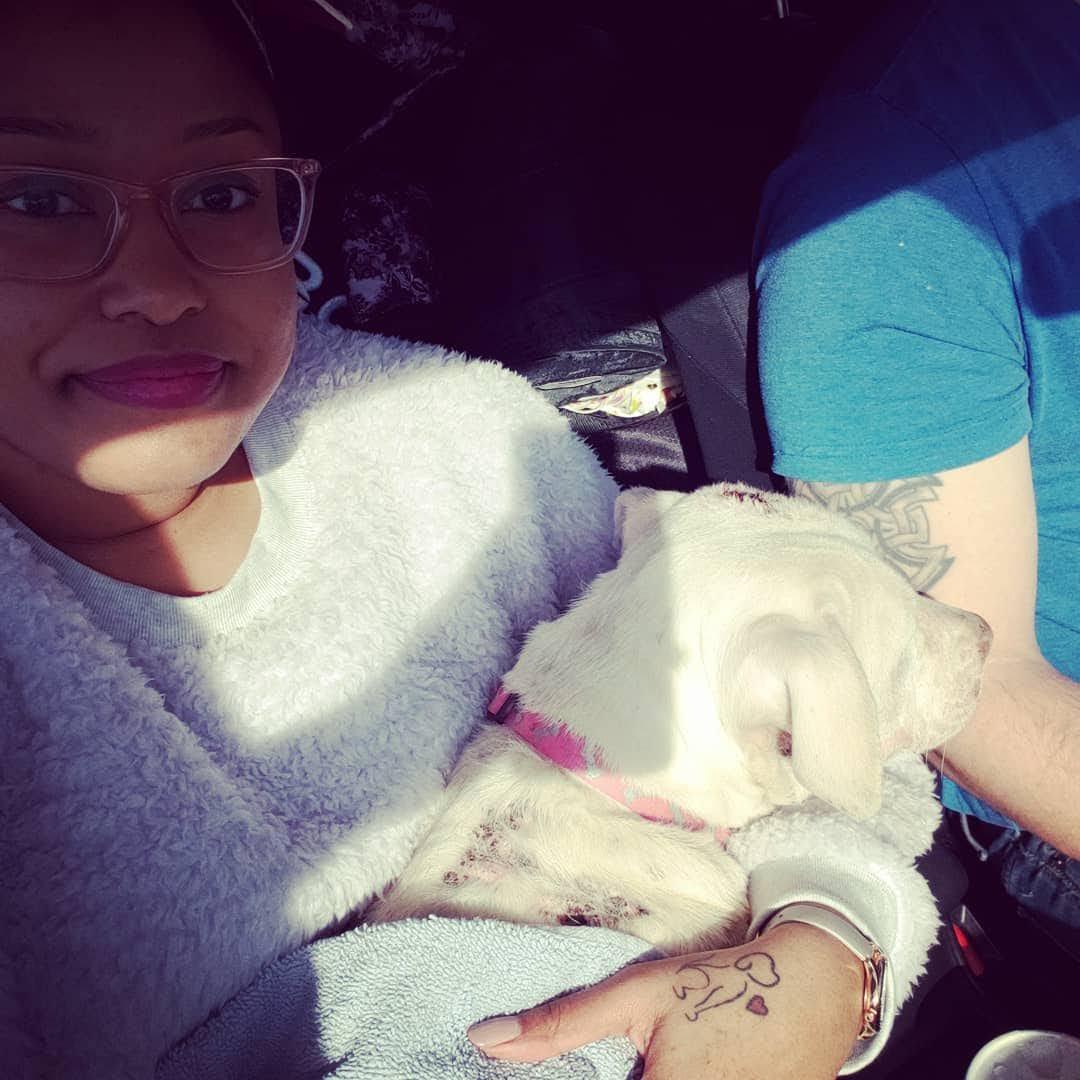 The moment we rescued Lola and took her the vet to start her furever life with us!