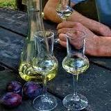 Wine or Rakija Tasting tours