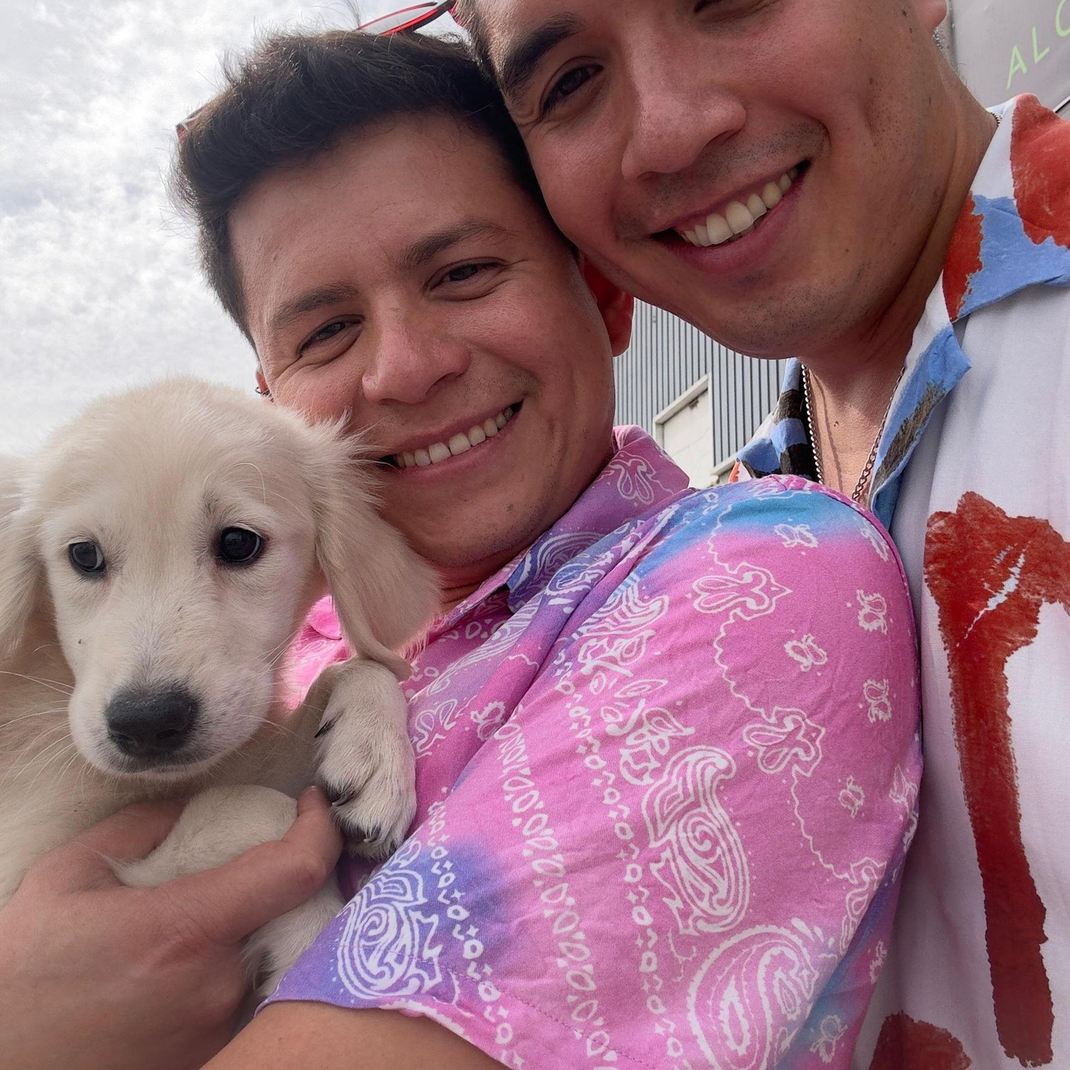 Íbamos a comer a Toledo y terminamos adoptando un perrito.