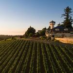 Willamette Valley Vineyards