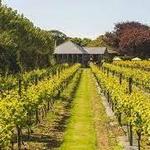 La Mare Wine Estate