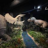 Ogden's George S. Eccles Dinosaur Park