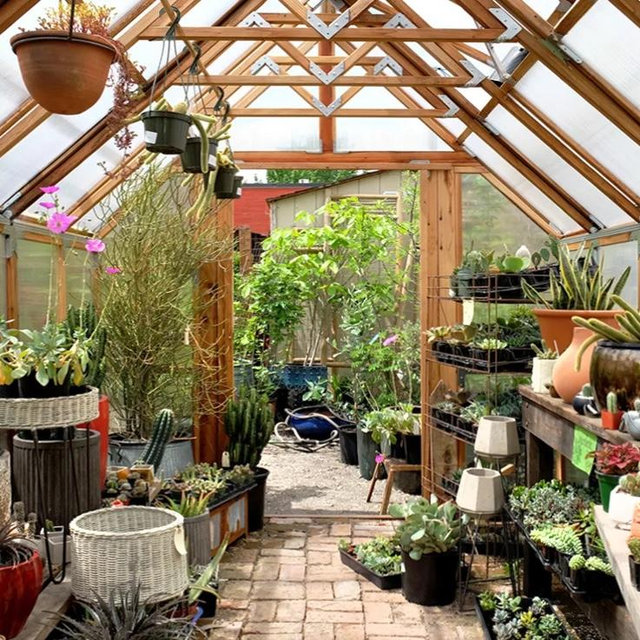 Backyard Greenhouse
