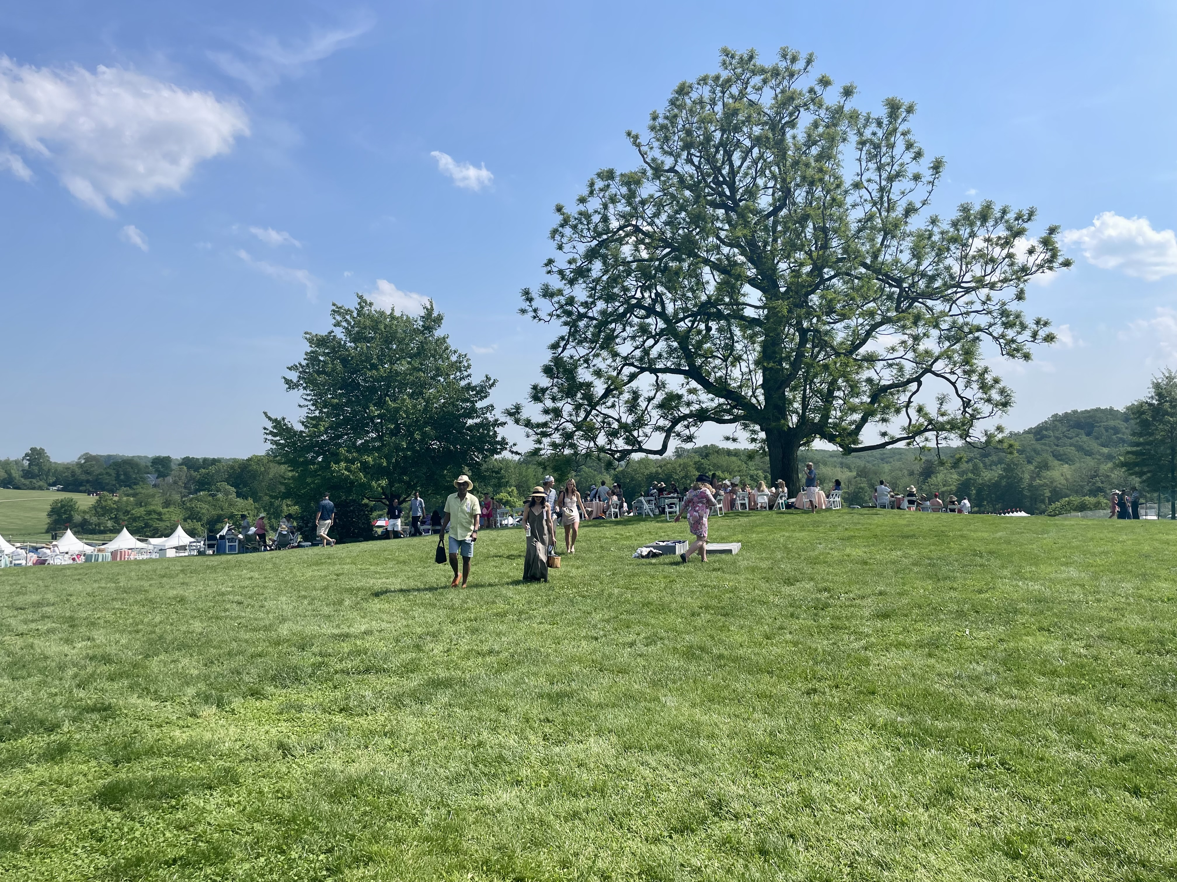 The Wedding Website of Zoe Barnes and Blake McIntyre