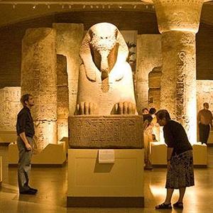 Penn Museum Dual Membership