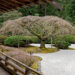 Portland Japanese Garden