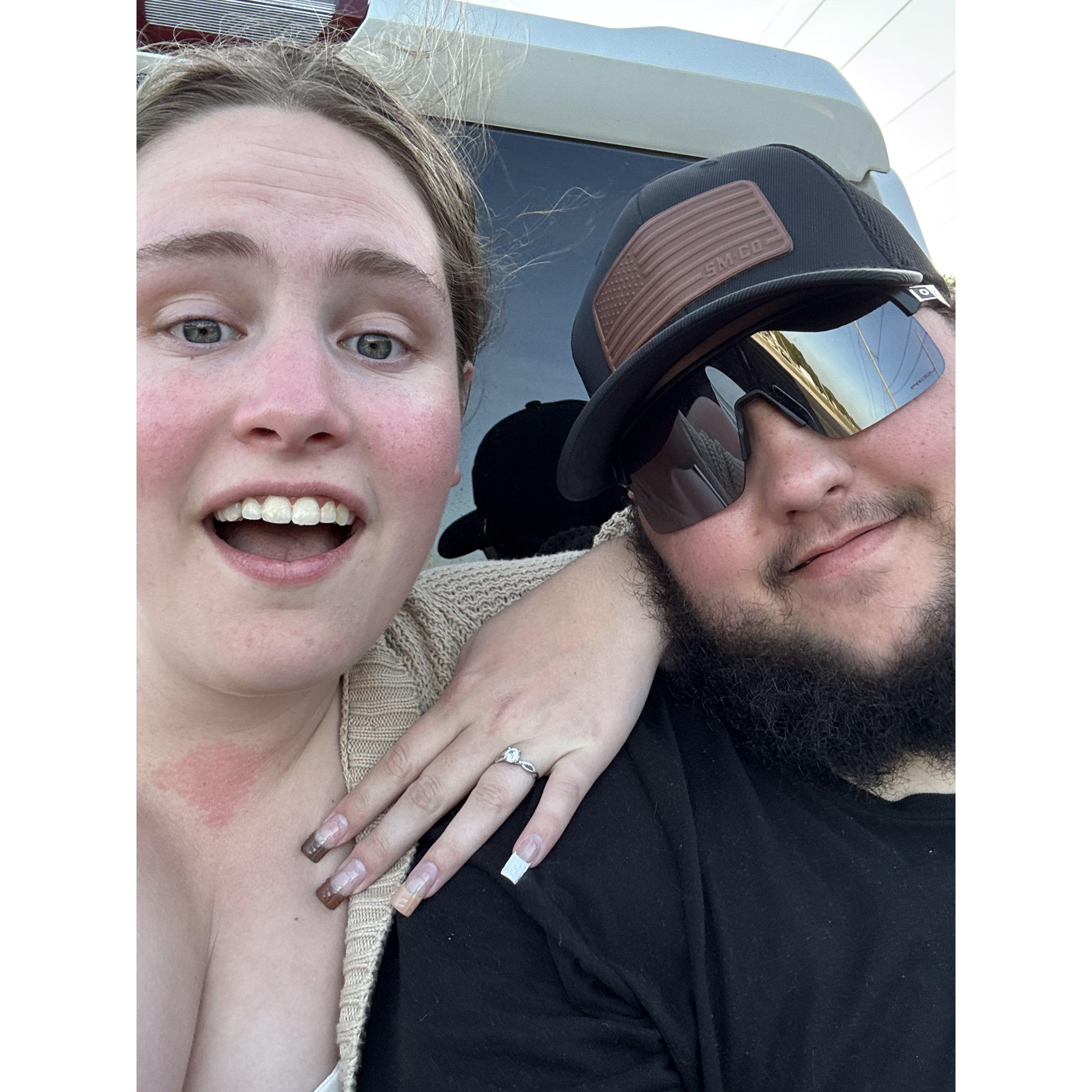 shocked! just swam with dolphins and got engaged to my love !