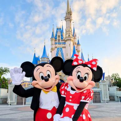 Disney Honeymoon Fund
