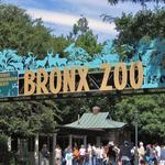 Bronx Zoo
