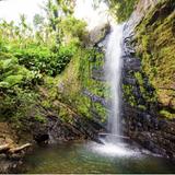 El Yunque National Forest