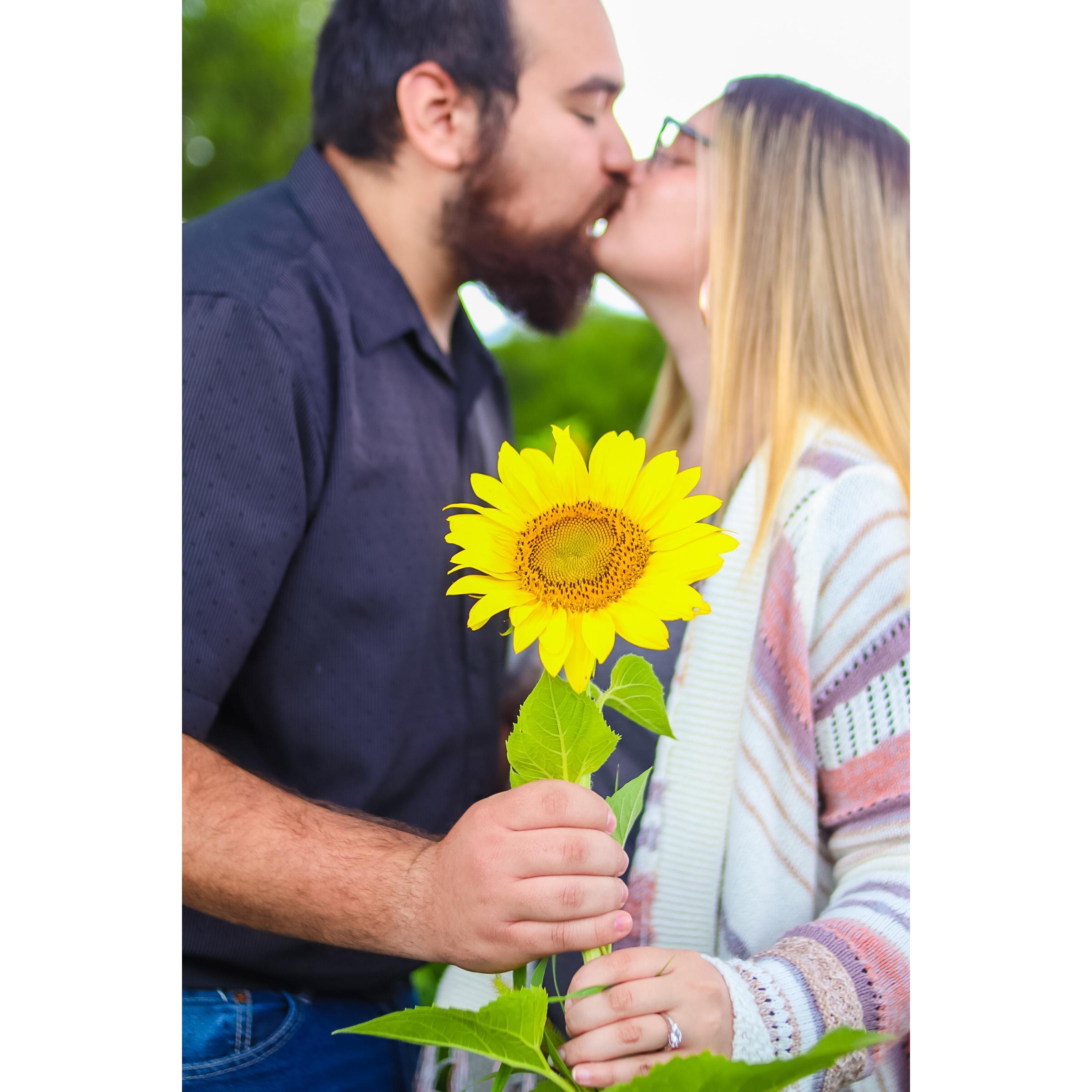 Our Engagement Photo's!