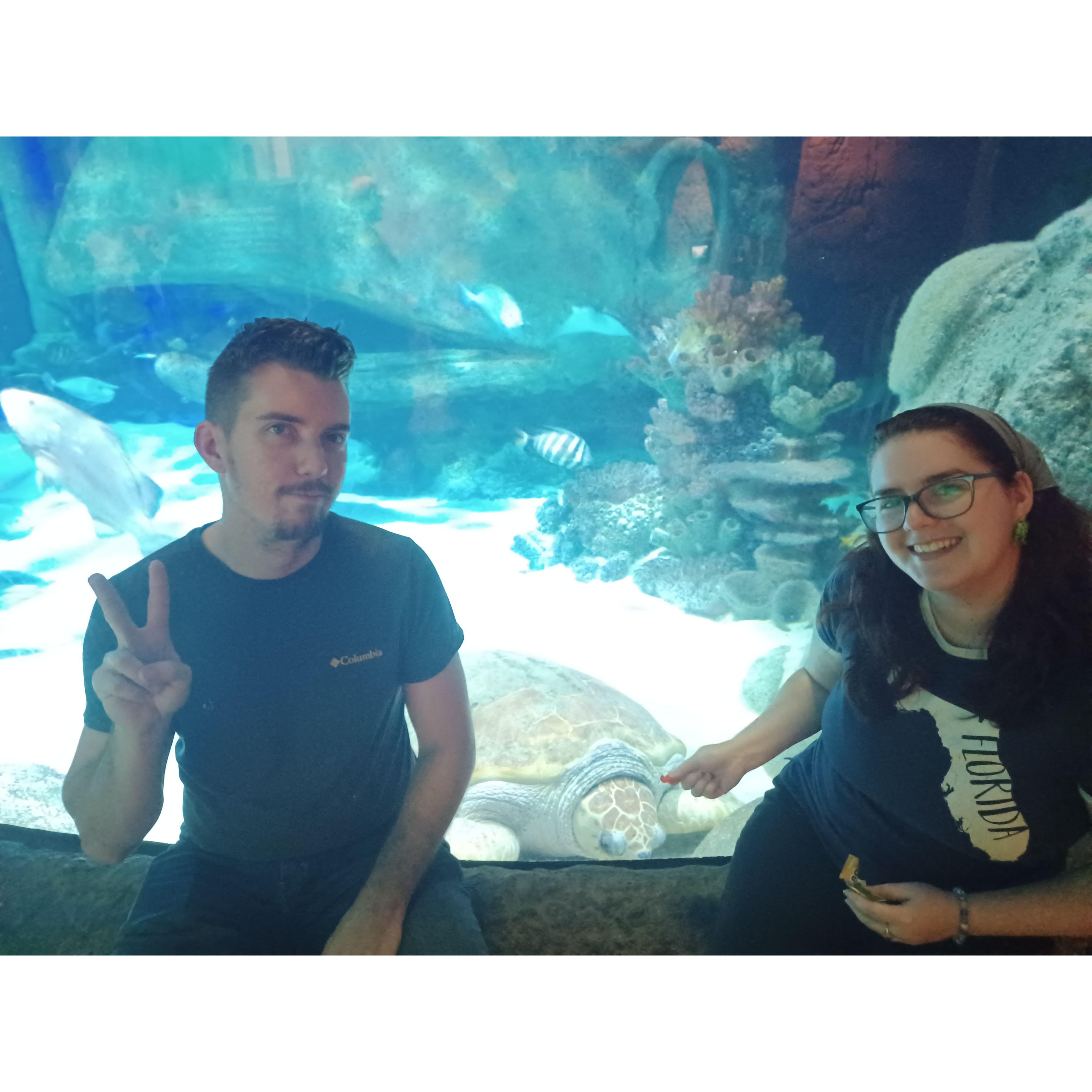 Met a cool turtle. Kaley offered him a gummy bear.