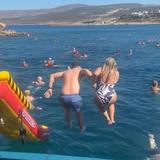 Wave Dancer Cruises & Events