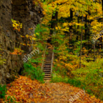 Thatcher Park