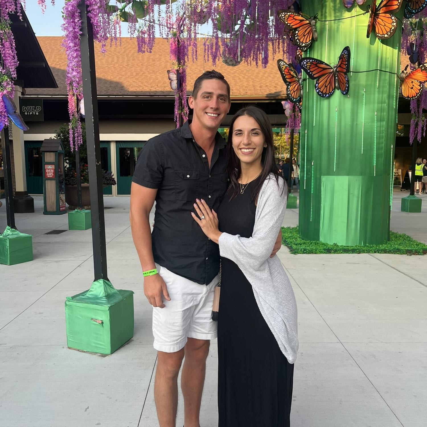 Hint: Twilight at the Zoo