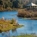 La Chua Trail