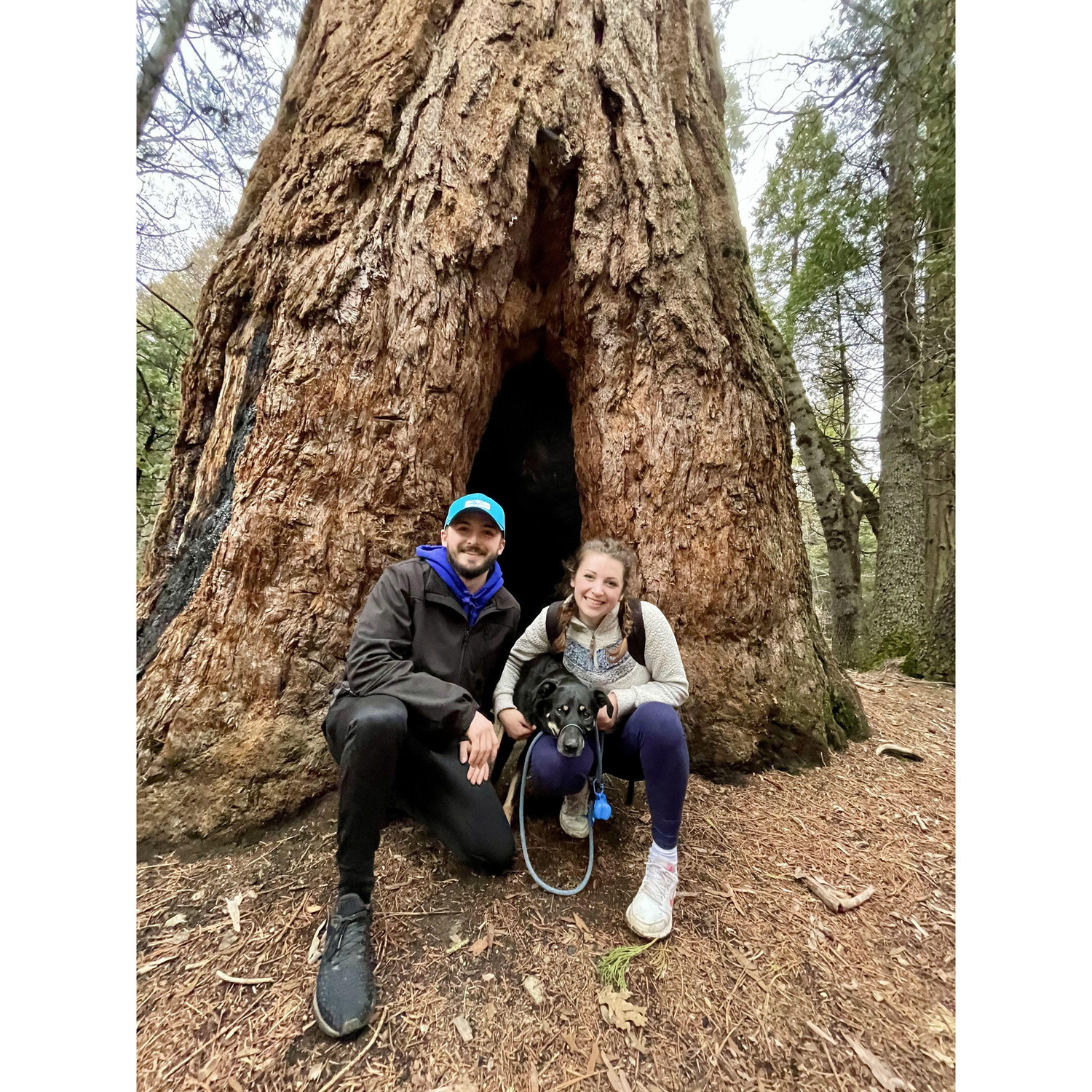 Redwood National Park, CA 2021