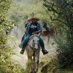 Horseback Riding