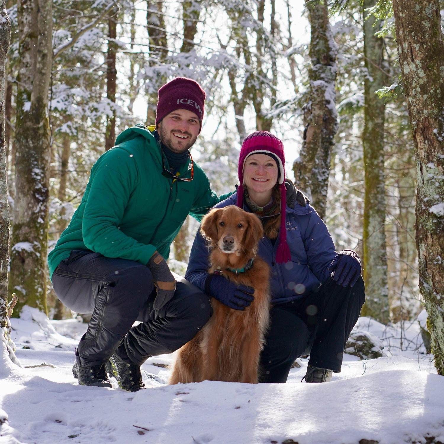 Greyson Highlands, January 2019