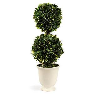 19" Double-Ball Topiary, Preserved
